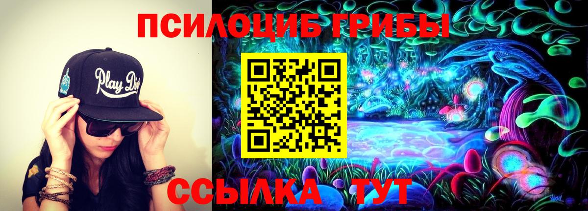 Камышлов  Псилоцибиновые грибы Psilocybe  Вход с VPN 