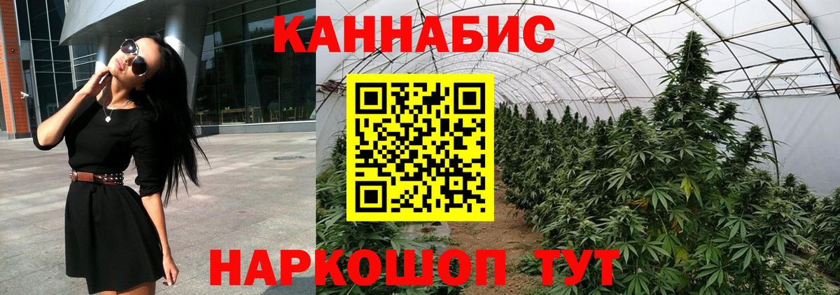 Конопля AK-47  Бошки марихуана марихуана  Вход с VPN  Канабис планчик  Камышлов 
